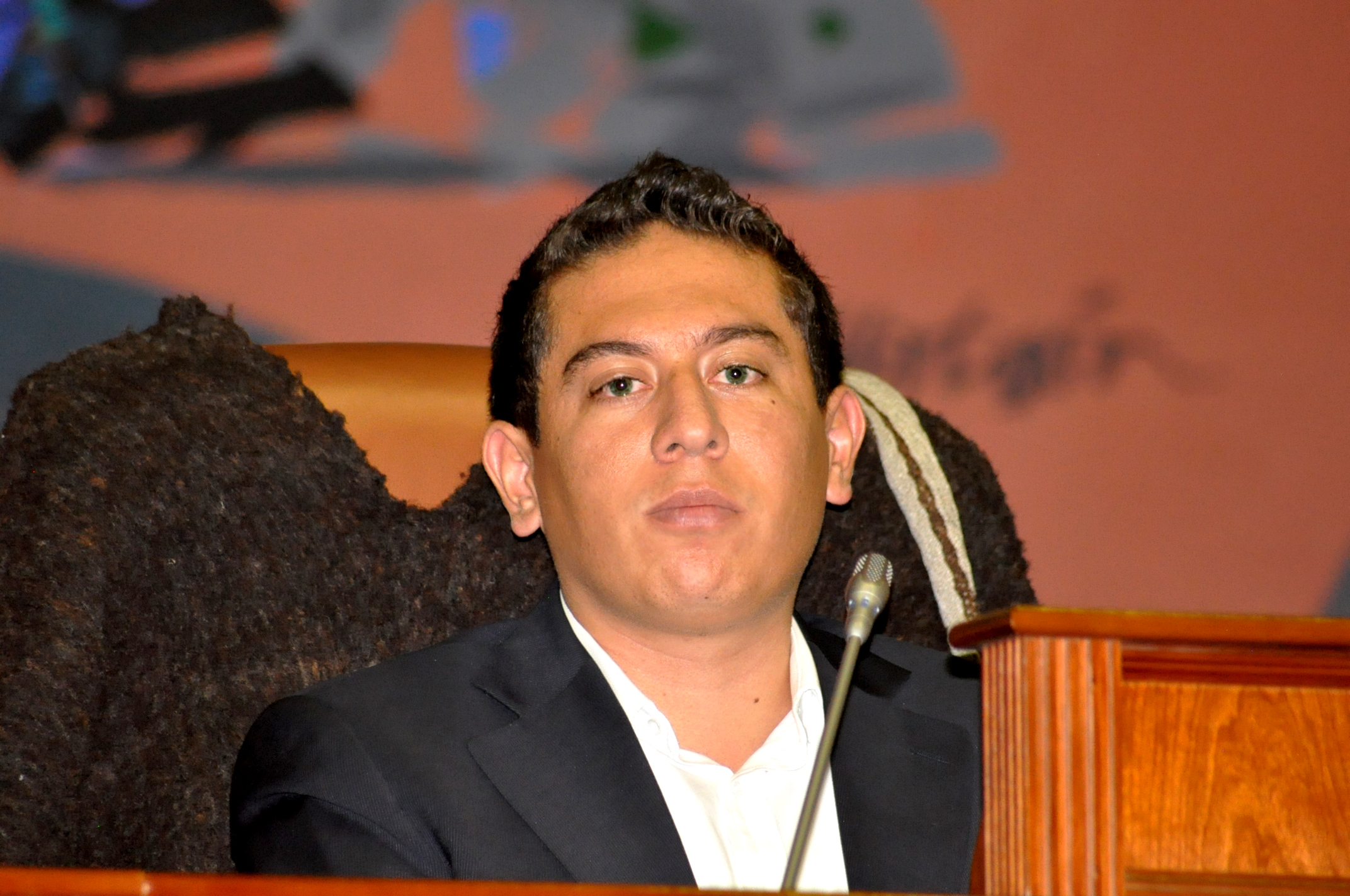 Carlos AndresAmaya Rodriguez