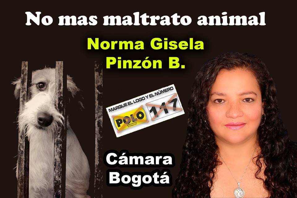 Norma Gisela Pinzon Barreto