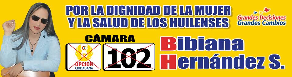 Bibiana Constanza Hernandez Soto