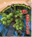 Consejo Comunitario Río Gualajo